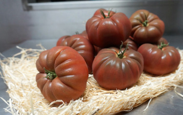 Tomates noires de Crimée